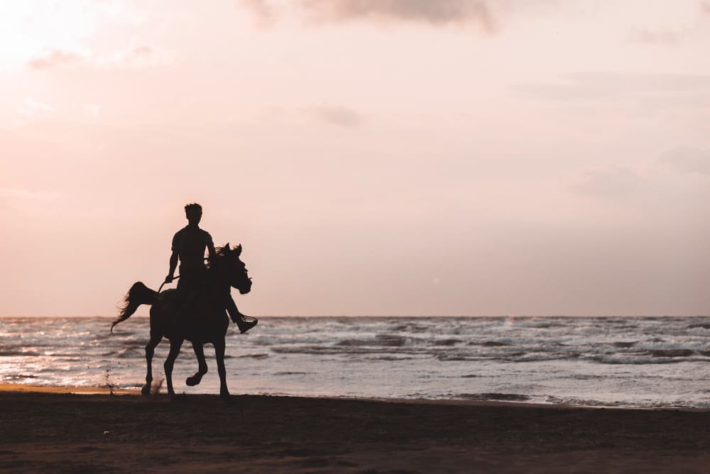 Sunset horse ride along the beach