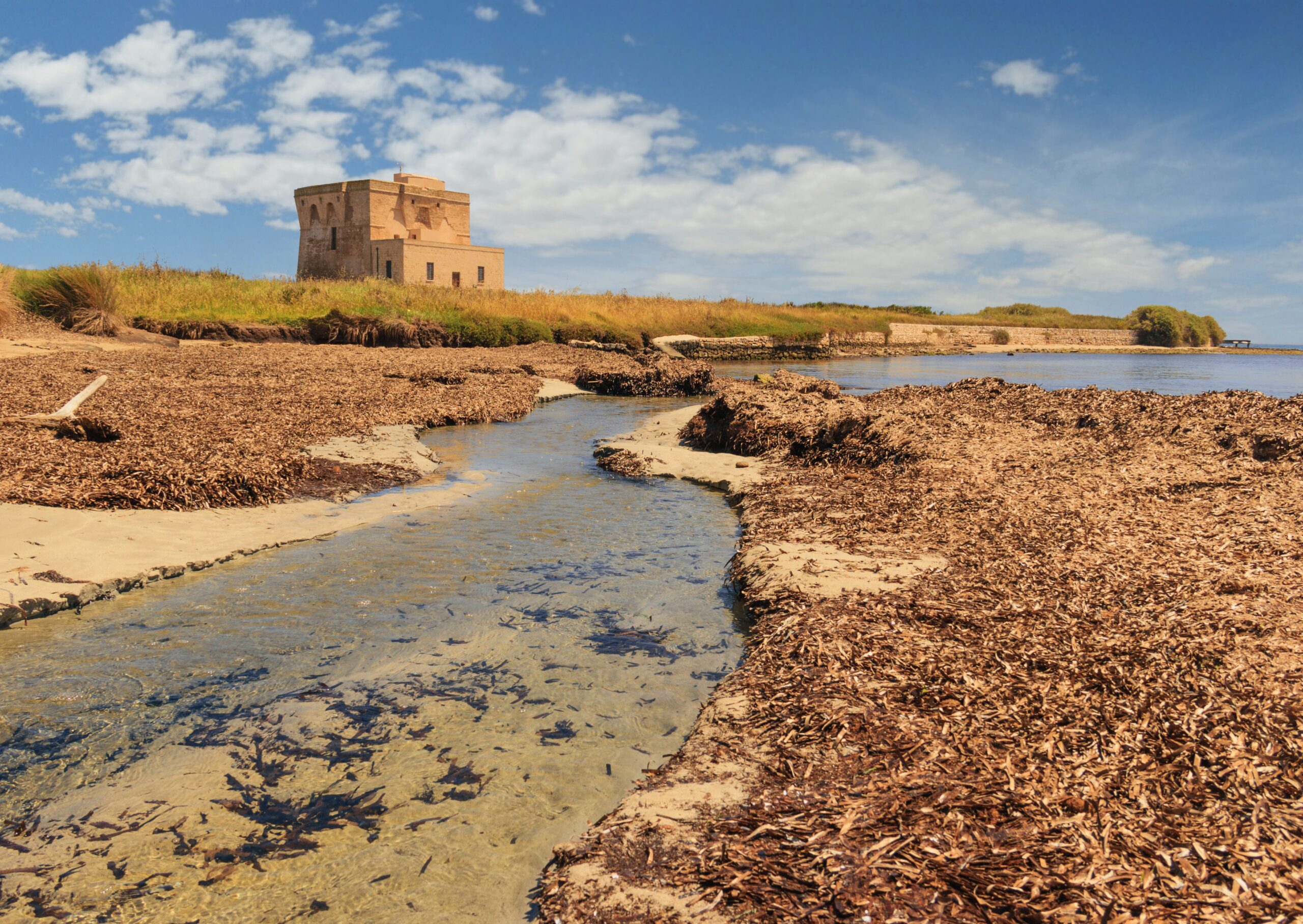 Torre Guaceto Nature Reserve Experience